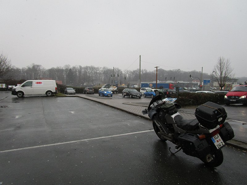 2018.03.16 Grizzly (103).JPG